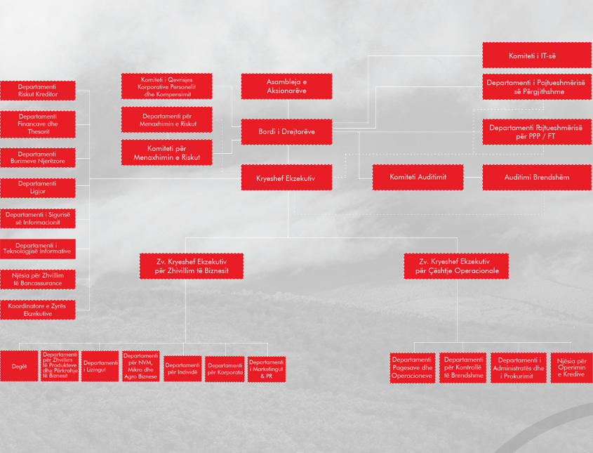 Struktura Organizative e Bankës